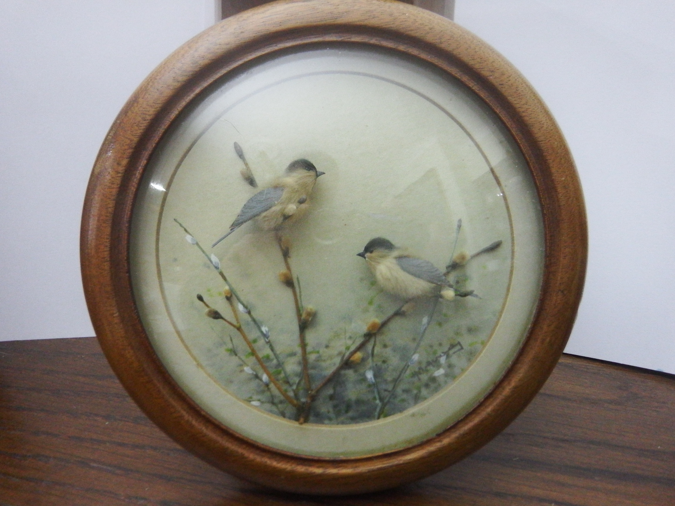 Bushtits (5-inch)